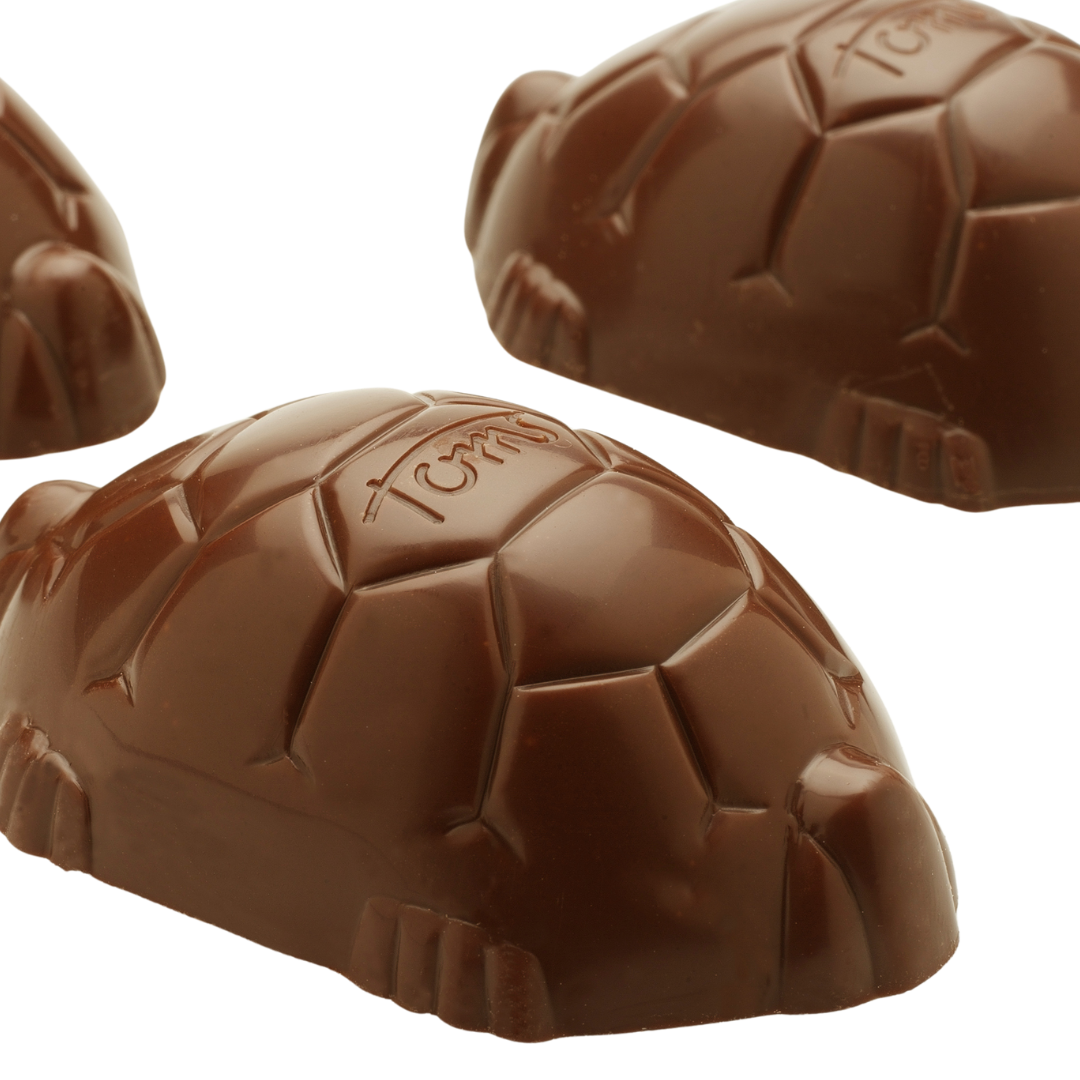 Giant Turtles – 65 pcs.